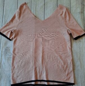 Talbots •Sz 1X• Pink Knit Short Sleeve V-neck Top
